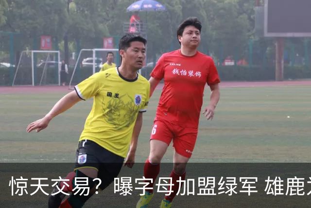 惊天交易？曝字母加盟绿军 雄鹿为布朗寻找第三方